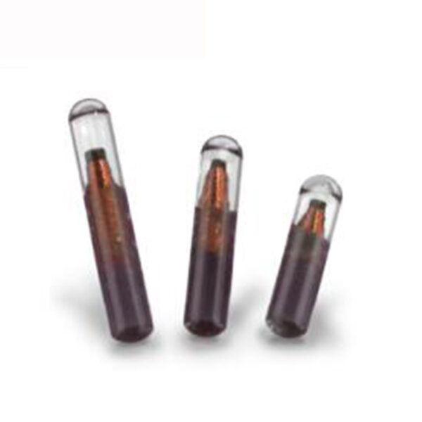 Chip dla zwierząt 134 kHz RFID EM4305 Mikrochip do śledzenia zwierząt z aplikatorem